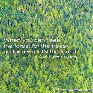 Quote-When-you-cant-see-the-forest